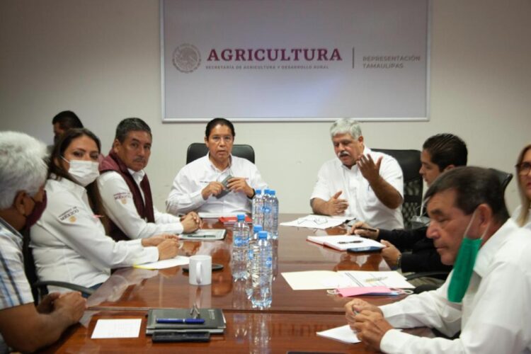 Impulsa Gobierno de México el bienestar en el campo con más de 550 mdp: Rodolfo González Valderrama