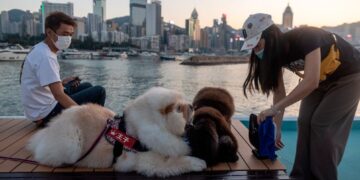 China registra casos de covid-19 nuevamente