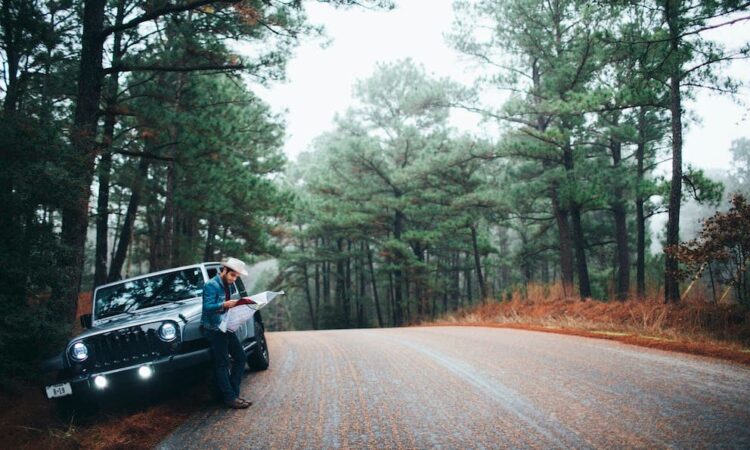 Lugares para hacer Road trips en México