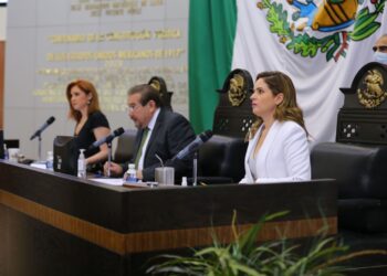 El PRI no depende de una alianza: Alejandra Cárdenas