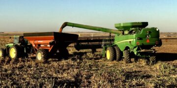 Exigen que Cámara de Diputados reciba a productores de sorgo de Tamaulipas