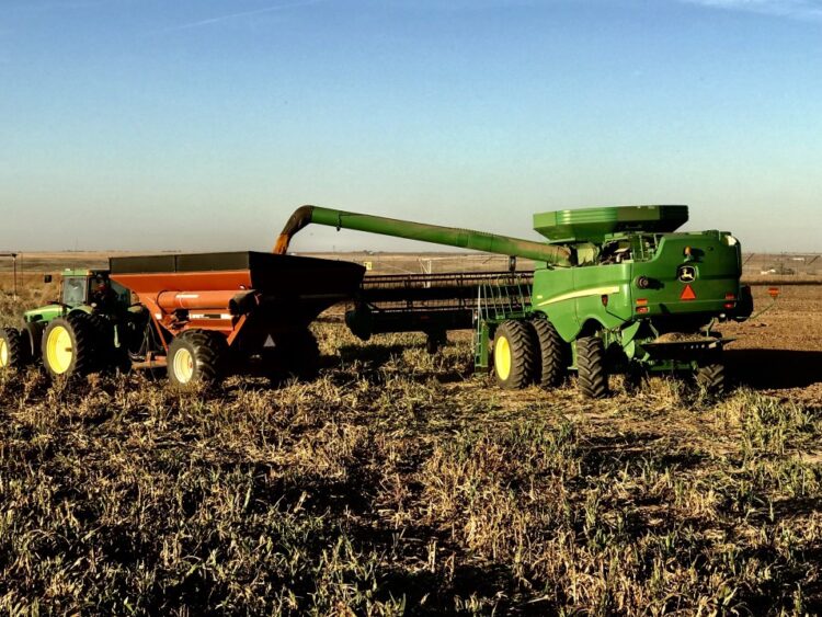 Exigen que Cámara de Diputados reciba a productores de sorgo de Tamaulipas