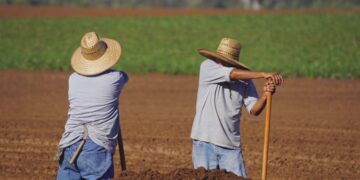 Sector agrícola de Tamaulipas endeudados con créditos