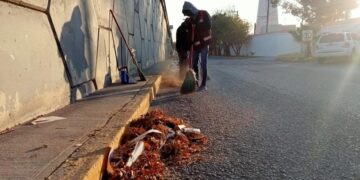 Gobierno de Lalo Gattás y empelados de Municipio comprometidos con la transformación de Victoria