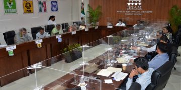 Flojea apoyo de candidatos independientes en Tamaulipas