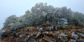 Frente frío congela la Sierra Madre en Tamaulipas