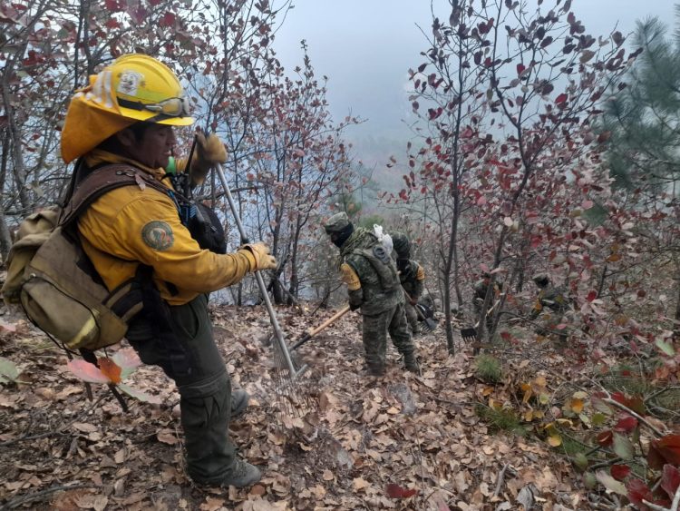 Controlan al 70% el incendio en la Reserva de la Biósfera de El Cielo