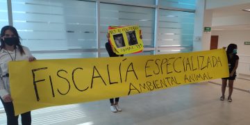 Denuncian crueldad animal: «crufican» mascotas