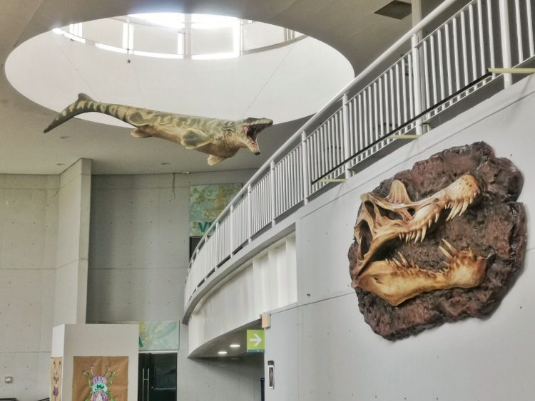 Llegan Dinosaurios al Museo Tamux de Ciudad Victoria