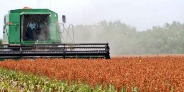 Cerca de 20 mil agricultores Tamaulipecos se encuentra endeudados