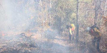 Reportan incendios forestales en 5 ejidos de Tula, Tamaulipas