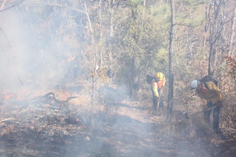 Reportan incendios forestales en 5 ejidos de Tula, Tamaulipas