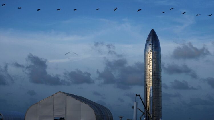 SpaceX enfrenta demanda ambiental en Texas