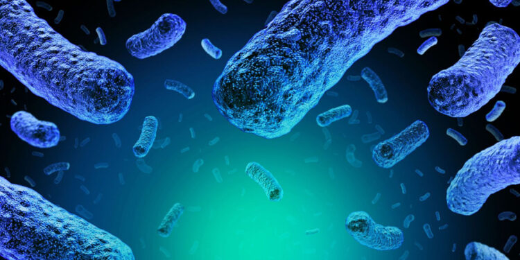 Detectan brote de listeria en Estados Unidos