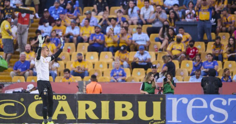 Diputados va con todo para eliminar venta de cerveza en estadios