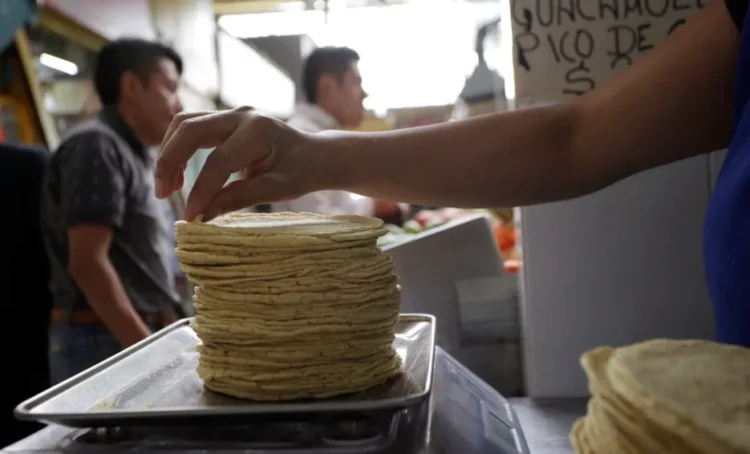 Culpan al profeco por subir precios de tortillas