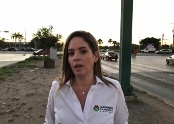 Pide continuidad Ale Cárdenas a trabajos pendientes en el Congreso de Tamaulipas