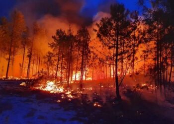 Confirma Protección Civil incendio en Miquihuana