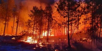 Confirma Protección Civil incendio en Miquihuana