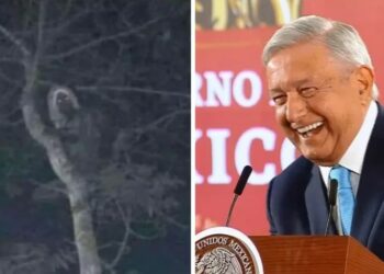 Causa polémica imagen de supuesto Aluxe publicada por AMLO en Twitter