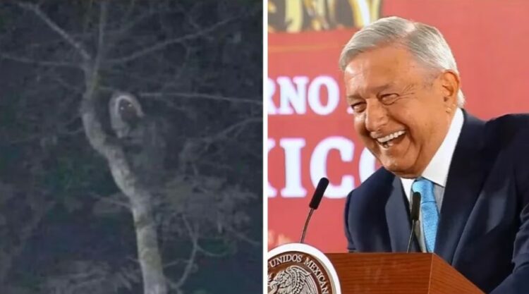 Causa polémica imagen de supuesto Aluxe publicada por AMLO en Twitter