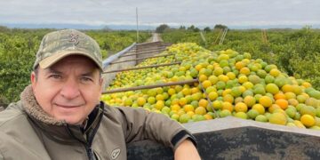 Citricultores de Tamaulipas libran heladas de enero daños