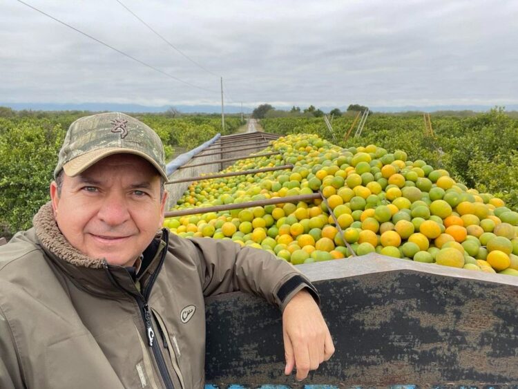 Citricultores de Tamaulipas libran heladas de enero daños