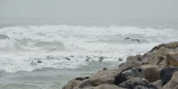 Ingresará frente frío número 31 a la región