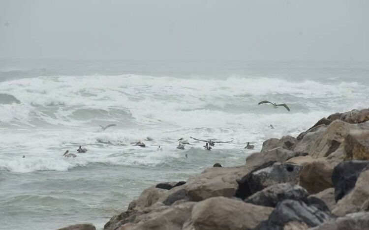 Ingresará frente frío número 31 a la región