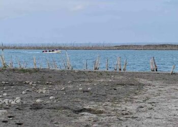Pescadores quedan varados en la Presa Vicente Guerrero