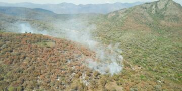 Alerta Protección Civil sobre posibles incendios forestales