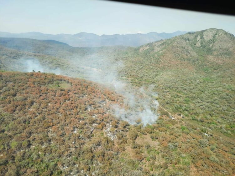 Alerta Protección Civil sobre posibles incendios forestales