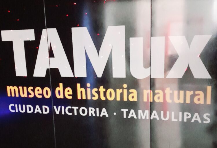Museo Tamux una excelente opción para estas proximas vacaciones en Ciudad Victoria.