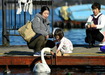 Japón sufre una tasa de natalidad alarmante