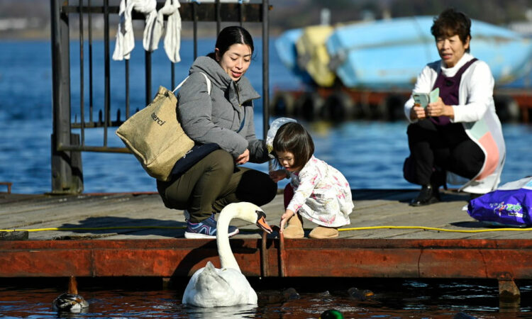Japón sufre una tasa de natalidad alarmante