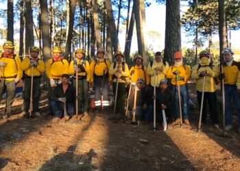 Controla Protección Civil incendio forestal en Miquihuana
