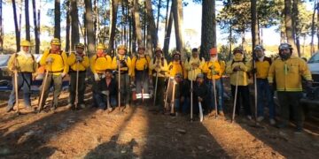 Controla Protección Civil incendio forestal en Miquihuana