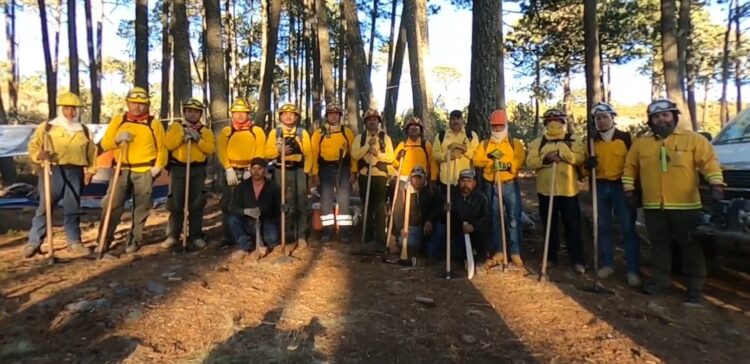 Controla Protección Civil incendio forestal en Miquihuana