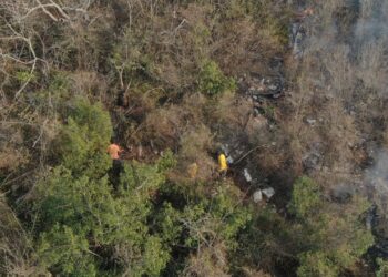Incendio de Nuevo Morelos estaría controlado a más tardar el jueves