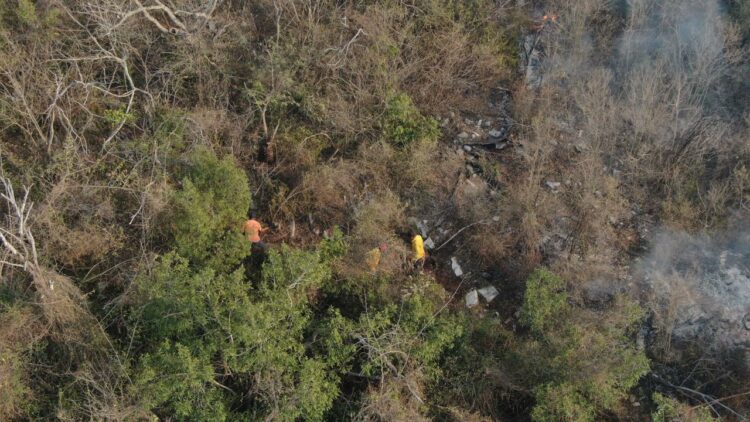 Incendio de Nuevo Morelos estaría controlado a más tardar el jueves