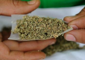 Otorgan 12 permisos para fumar marihuana en Tamaulipas