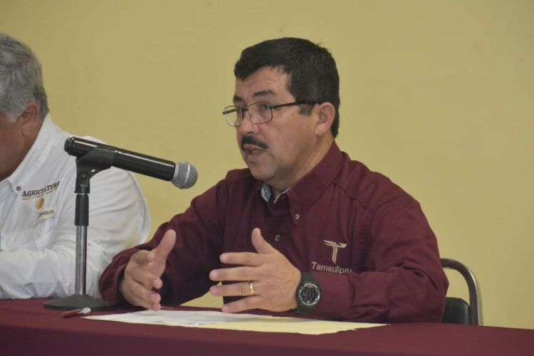 En Tamaulipas bombardearán 6 veces y costará 15 Mdp