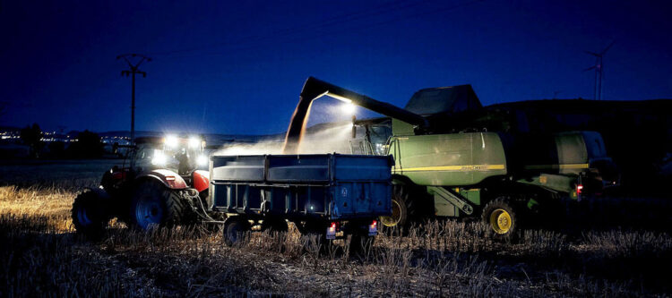 Agricultores prefieren trabajar de noche por intensos calores