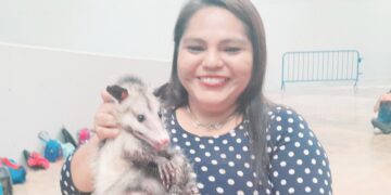 Lleva a cabo Mia Fressy campaña de concientización del cuidado de las   Zarigüeyas.