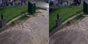 Mueren 7 migrantes atropellados y al menos 11 resultan heridos en Brownsville, Texas.