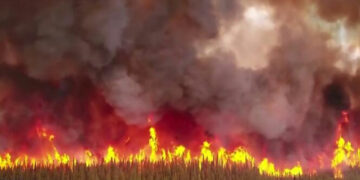 Lluvias ayudan a combatir Incendios Forestales en Canadá