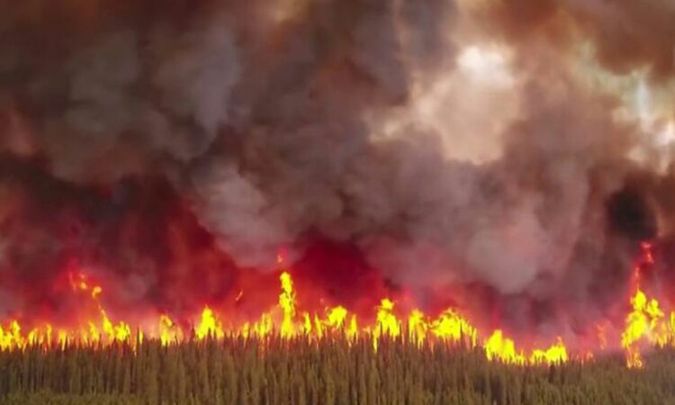 Lluvias ayudan a combatir Incendios Forestales en Canadá
