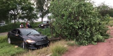 Conductor a exceso velocidad derriba árbol en Libramiento Naciones Unidas