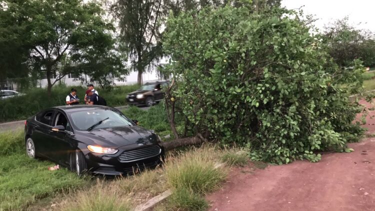 Conductor a exceso velocidad derriba árbol en Libramiento Naciones Unidas