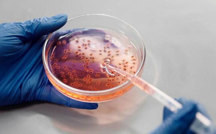 Aumentan a tres las muertes por meningitis en EEUU relacionadas con brote en Tamaulipas